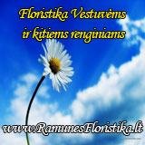 Ramunes Floristika